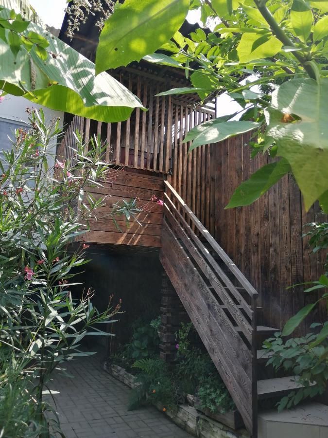 Hotel Magnoliia Sochumi Exterior foto
